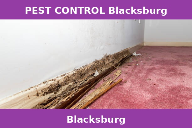 PEST CONTROL Blacksburg